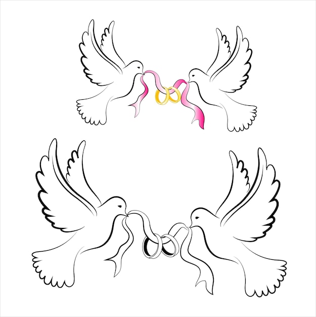 Vecteur white_wedding_doves_with_rings