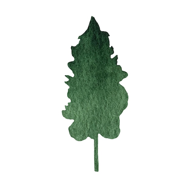 Xahand Dessiné Aquarelle Sapin Forêt Clipart