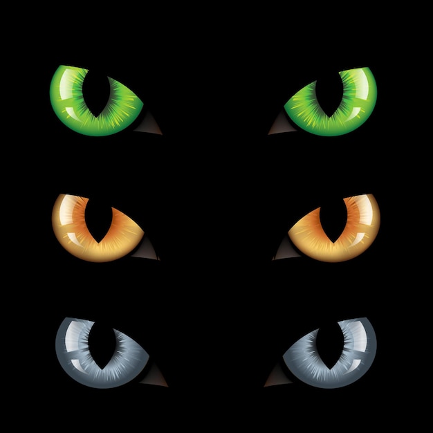 Yeux de chat dans l'obscurité