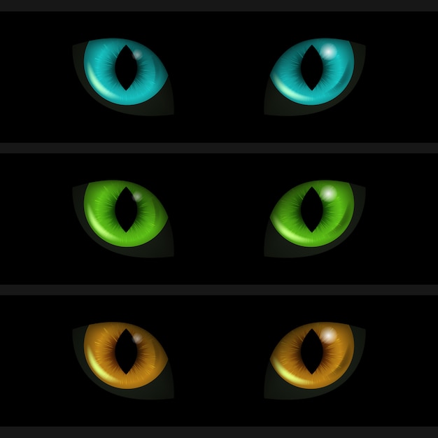 Yeux de chat sur fond noir