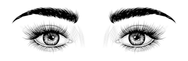 Yeux Dessinés à La Main