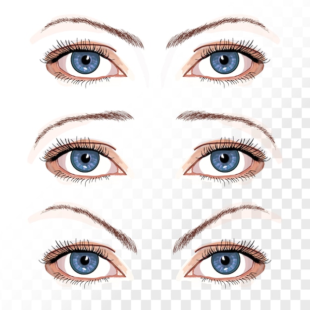 Yeux Femelles De Vecteur Isolés Sur Illustration Blanche Dessinés à La Main