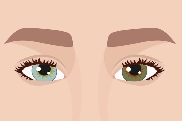 Des yeux de femme avec une hétérochromie Femme avec des yeux de couleurs différentes