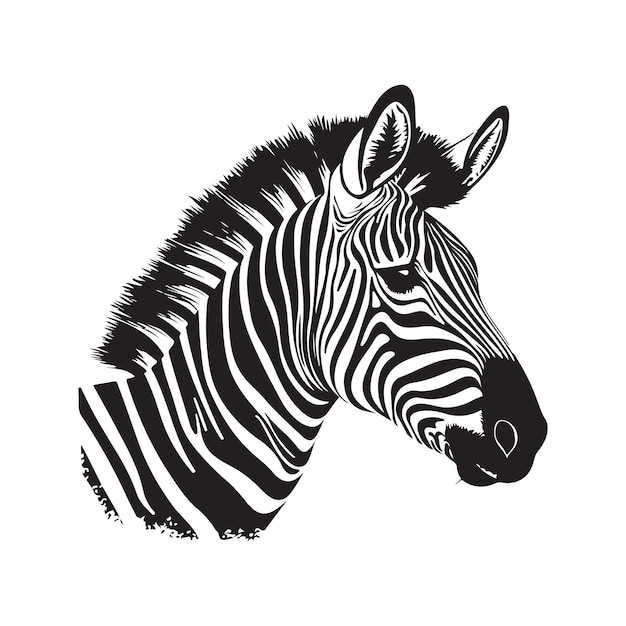 Zebra Logo Vintage Ligne Art Concept Noir Et Blanc Couleur Illustration Dessinée à La Main