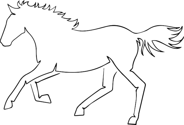 Un zèbre avec une queue qui a une queue qui a une queue qui a une queue qui a une queue qui a une queue qui a une queue qui a une queue qui a une queue qui