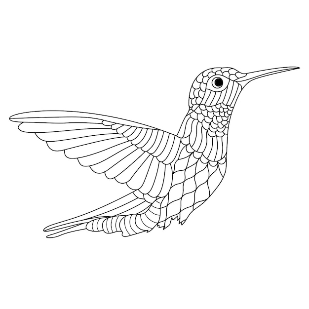 Zentangle Stylisé Mignon Colibri Volant Page De Coloriage Anti-stress Pour Adulte