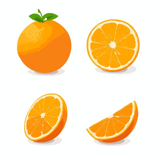 Vecteur zingy citrus charm orange vector delight (le délice du vecteur orange)