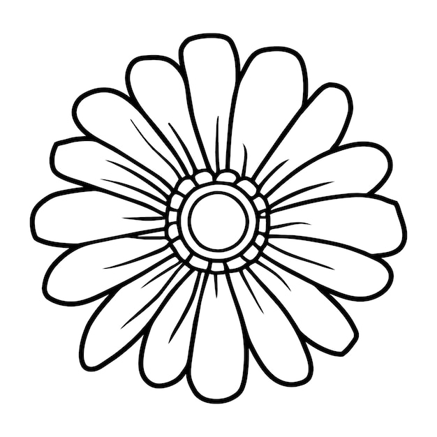 11 Floral line art