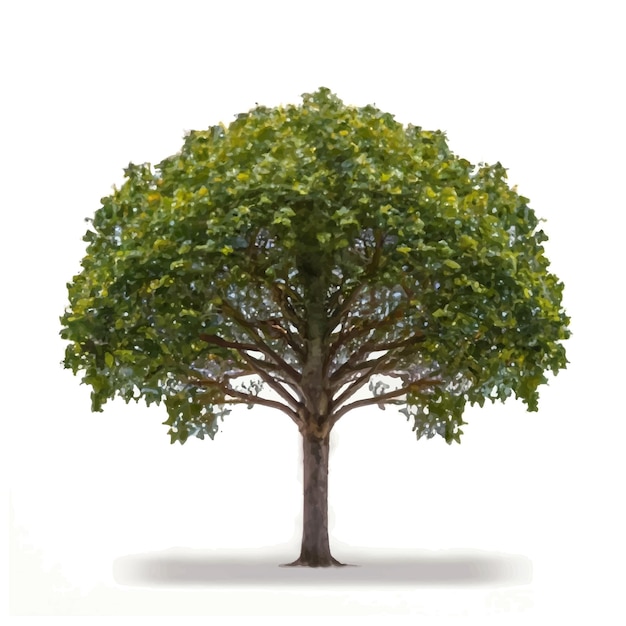 3d illustration of tree on white background