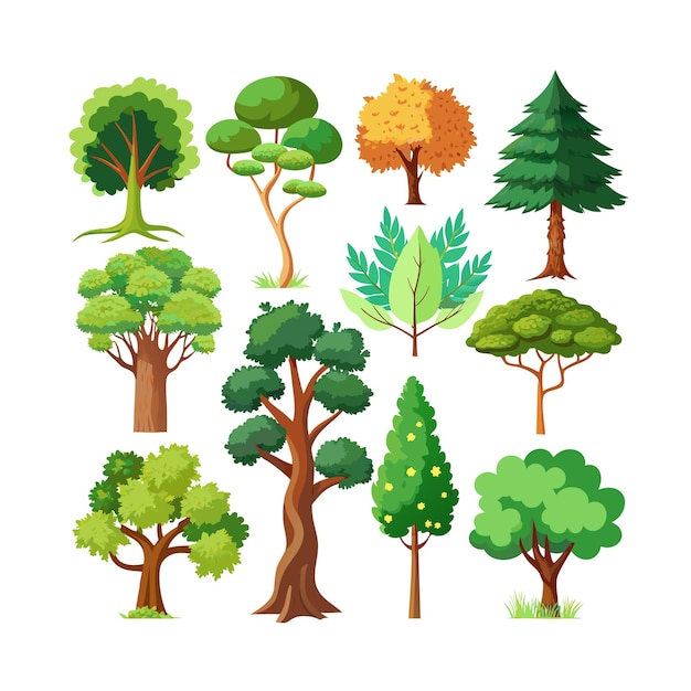 A Collection of Trees flat style vector illustration