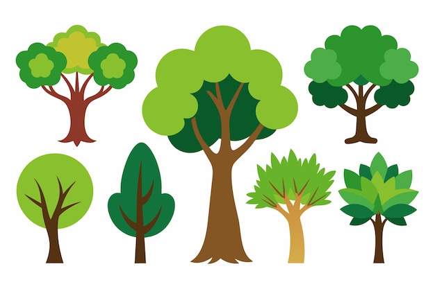 a collection of trees with different colors and the words  trees