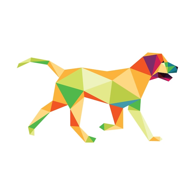 a dog with a colorful pattern on its back