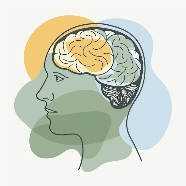 a drawing of a human head with the brain drawn on it