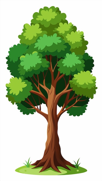 a drawing of a tree with the leaves on it