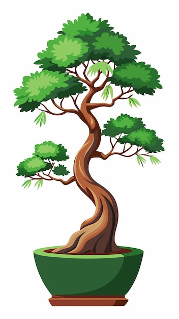 a drawing of a tree with the word bonsai on it