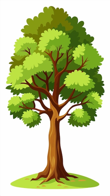 a drawing of a tree with the words quot trees quot on it