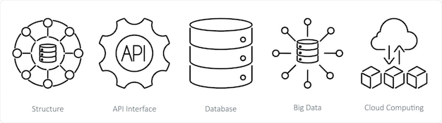 A set of 5 data analytics icons as structure api interface database
