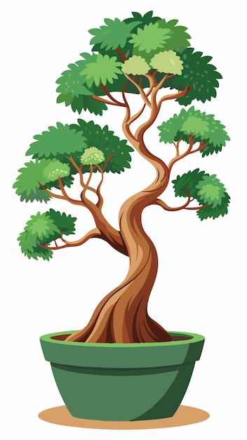 a tree with the trunk of the tree
