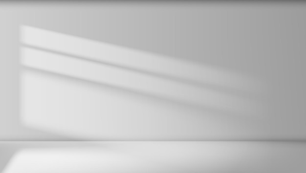 Abstract Empty White Room Interior With Light