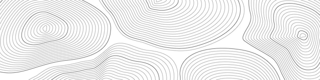 abstract lines vector background topographic map contour pattern linear curves texture