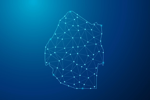 Abstract mash line and point with map of Swaziland polygonal network line vector.