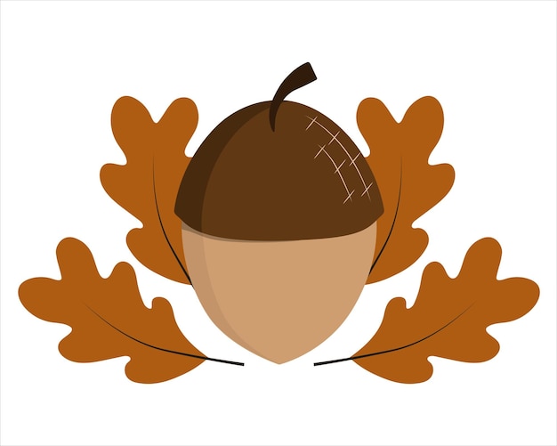 Acorn with oak leaves isolated