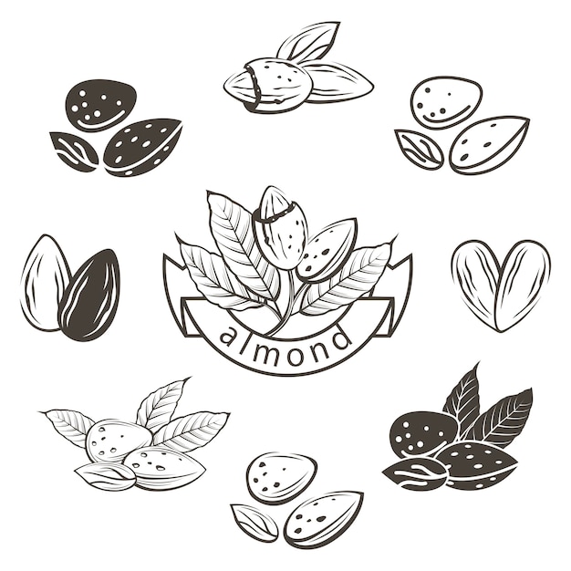 almond images set