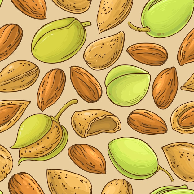 almond nuts vector pattern on color background