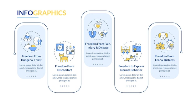 Animal welfare freedoms rectangle infographic vector