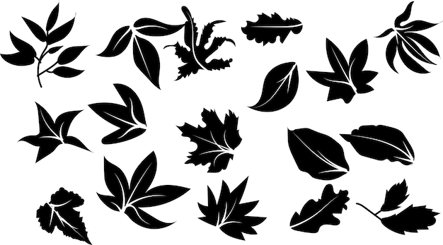 Autumn Leaves collection silhouette vector trendy design