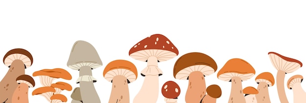 Autumn mushrooms border decoration Fall fungi horizontal decor Forest food plants fungus boletus banner design Modern botanical decorative flat vector illustration isolated on white background