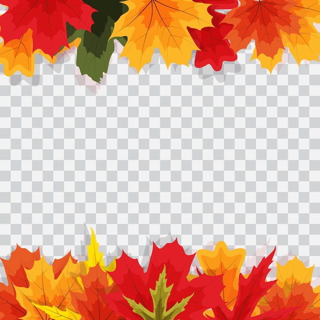 Autumn Natural Leaves on Transparent Background.