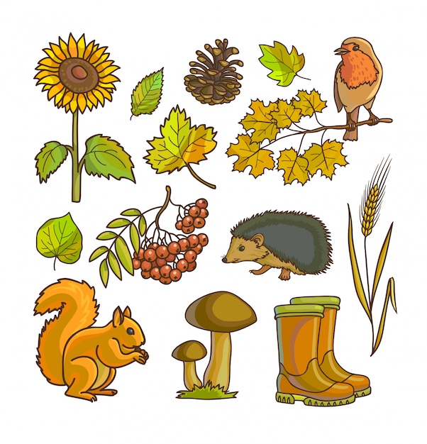 Autumn or fall icon and objects set 
