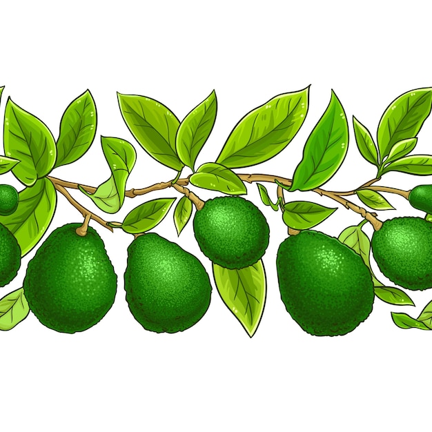 avocado branches vector pattern