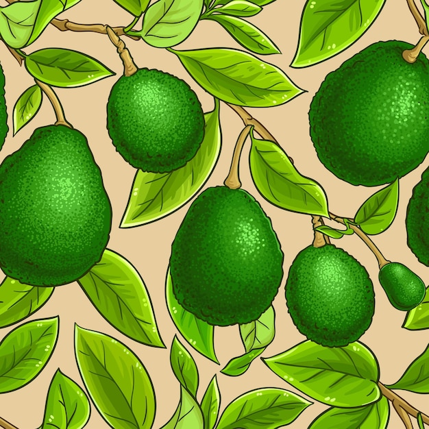 avocado branches vector pattern