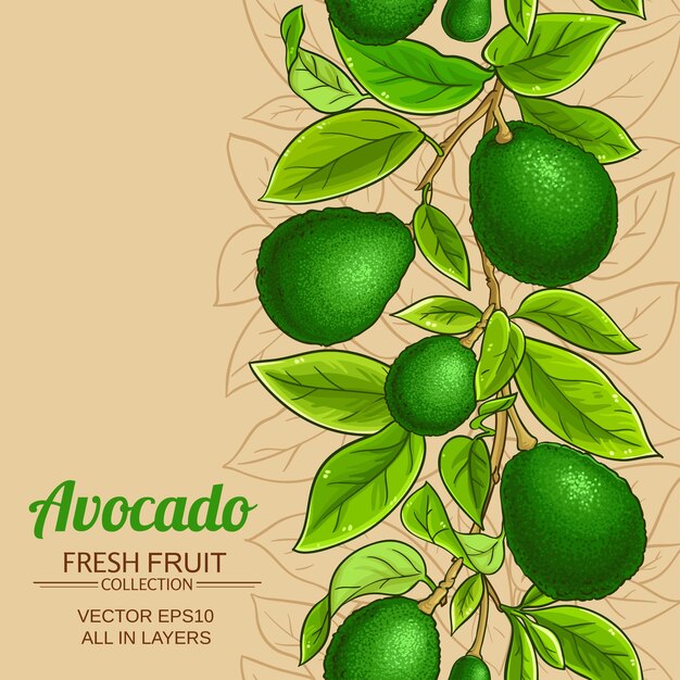 avocado branches vector pattern
