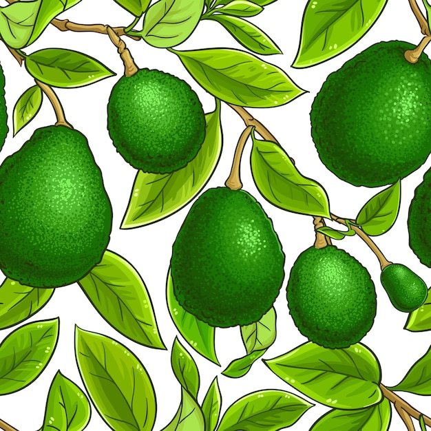 avocado fruits vector pattern on white background