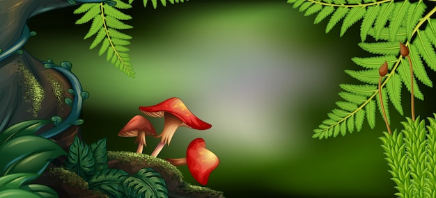 Background scene with mushrooms in forest