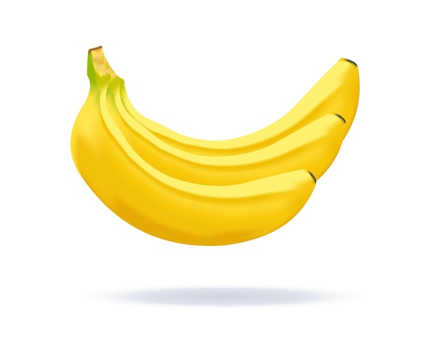 bananas in realistic style. bunch of three bananas. 3d bananas isolated on white background for prin