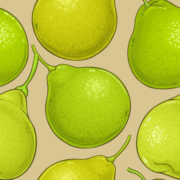 bergamot fruit vector pattern on color background