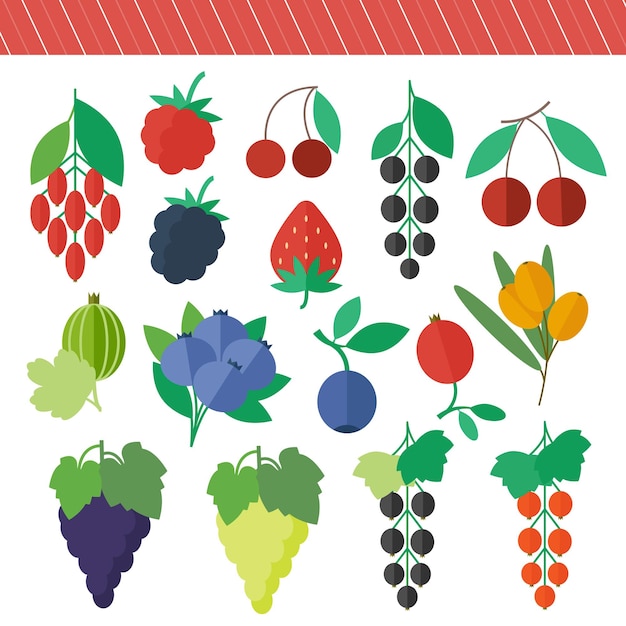 Berries set of vector isolated elements for web design in flat style