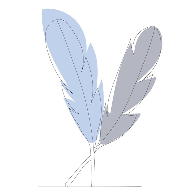 bird feathers drawing in one continuous line