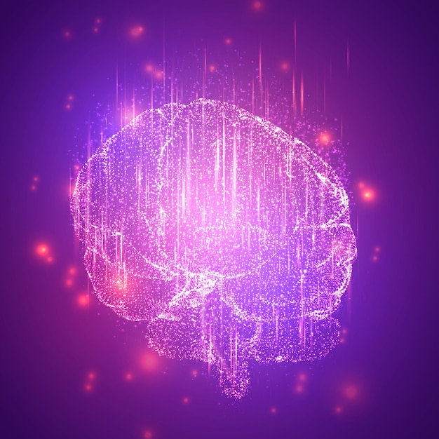 Brain 04bl Converted