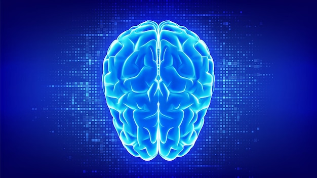 Brain Futuristic digital brain Concept of artificial intelligence machine learning data science innovation technology Binary code background with digits 10 Binary data Vector illustration