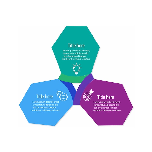 Business Infographic template Thin line design with icons and 3 options or steps