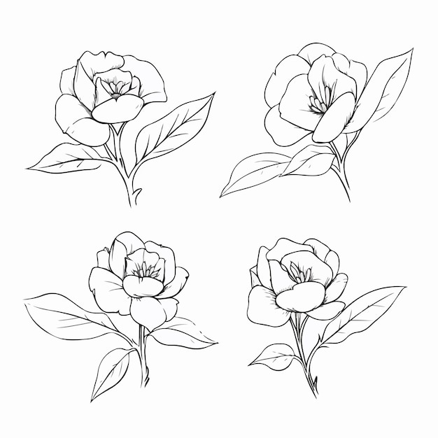 captivating vector camellia illustrations perfect for botanicalthemed branding