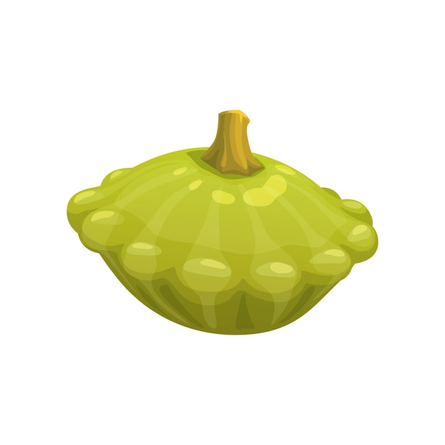 Cartoon raw squash vector vegetable food Fresh green summer or pattypan squash veggie of agriculture crop plant with white stripes and scalloped edges Isolated ripe patty pan vegetable