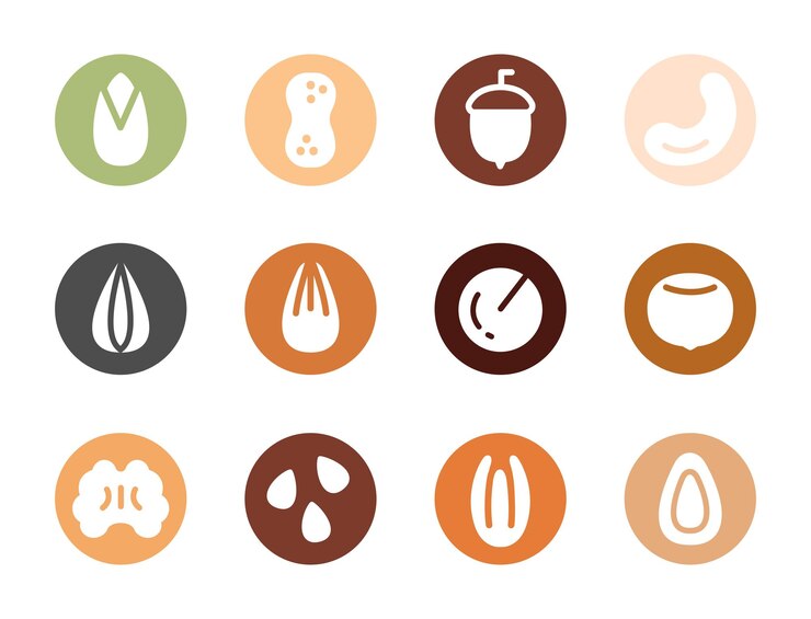 Vector cartoon seeds and nuts nuts vector illustration set almond peanut cashew sunflower seeds hazel