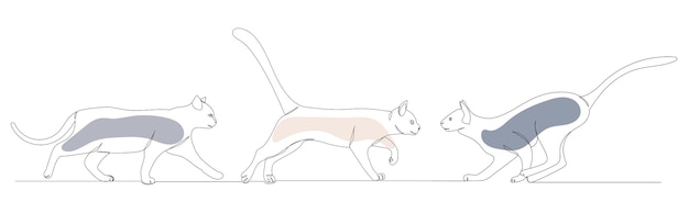 Cat drawing one continuous line