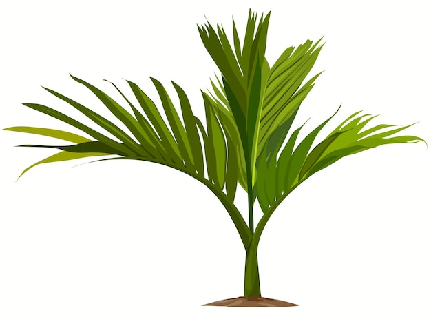 Cây cau cau cau cau cau cau cau cau cau cau cau cau cau cau cau cau cau cau cau cau cau cau cau cau cau cau cau cau cau cau cau cau cau cau cau cau cau cau cau cau cau cau cau cau cau cau cau cau cau cau cau cau cau cau cau cau cau cau cau cau cau cau cau cau cau cau cau cau cau cau cau cau cau cau cau cau cau cau cau cau cau cau cau cau cau cau cau cau cau cau cau cau cau cau cau cau cau cau cau cau cau cau cau cau cau cau cau cau cau cau cau cau cau cau cau cau cau cau cau cau cau cau cau cau cau cau cau cau cau cau cau cau cau cau cau cau cau cau cau cau cau cau cau cau cau cau cau cau cau cau cau cau cau cau cau cau cau cau cau cau cau cau cau cau cau cau cau cau cau cau cau cau cau cau cau cau cau cau cau cau cau cau cau cau cau cau cau cau cau cau cau cau cau cau cau cau cau cau cau cau cau cau cau cau cau cau cau cau cau cau cau cau cau cau cau cau cau cau cau cau cau cau cau cau cau cau cau cau cau cau cau cau cau cau cau cau cau cau cau cau cau cau cau cau cau cau cau cau cau cau cau cau cau cau cau cau cau cau cau cau cau cau cau cau cau cau cau cau cau cau cau cau cau cau cau cau cau cau cau cau cau cau cau cau cau cau cau cau cau cau cau cau cau cau cau cau cau cau cau cau cau cau cau cau cau cau cau cau cau cau cau cau cau cau cau cau cau cau cau cau cau cau cau cau cau cau cau cau cau cau cau cau cau cau cau cau cau cau cau cau cau cau cau cau cau cau cau cau cau cau cau cau cau cau cau cau cau cau cau cau cau cau cau cau cau cau cau cau cau cau cau cau cau cau cau cau cau cau cau cau cau cau cau cau cau cau cau cau cau cau cau cau cau cau cau cau cau cau cau cau cau cau cau cau cau cau cau cau cau cau cau cau cau cau cau cau cau cau cau cau cau cau cau cau cau cau cau cau cau cau cau cau cau cau cau cau cau cau cau cau cau cau cau cau cau cau cau cau cau cau cau cau cau cau cau cau cau cau cau cau cau cau cau cau cau cau cau cau cau cau cau cau cau cau cau cau cau cau cau cau cau cau cau cau cau cau cau cau cau cau cau cau cau cau cau cau cau cau cau cau cau cau cau cau cau cau cau cau cau cau cau cau cau cau cau cau cau cau cau cau cau cau cau cau cau cau cau cau cau cau cau cau cau cau cau cau cau cau cau cau cau cau cau cau cau cau cau cau cau cau cau cau cau cau cau cau cau cau cau cau cau cau cau cau cau cau cau cau cau cau cau cau cau cau cau cau cau cau cau cau cau cau cau cau cau cau cau cau cau cau cau cau cau cau cau cau cau cau cau cau cau cau cau cau cau cau cau cau cau cau cau cau cau cau cau cau cau cau cau cau cau cau cau cau cau cau cau cau cau cau cau cau cau cau cau cau cau cau cau cau cau cau cau cau cau cau cau cau cau cau cau cau cau cau cau cau cau cau cau cau cau cau cau cau cau cau cau cau cau cau cau cau cau cau cau cau cau cau cau cau cau cau cau cau cau cau cau cau cau cau cau cau cau cau cau cau cau cau cau cau cau cau cau cau cau cau cau cau cau cau cau cau cau cau cau cau cau cau cau cau cau cau cau cau cau cau cau cau cau cau cau cau cau cau cau cau cau cau cau cau cau cau cau cau cau cau cau cau cau cau cau cau cau cau cau cau cau cau